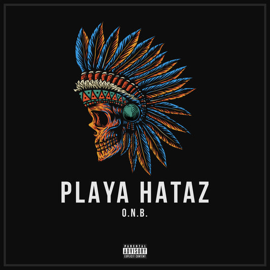 Playa Hataz cover artwork